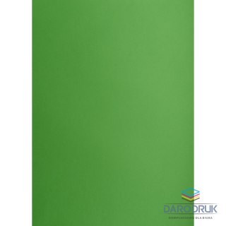 Creatinio Brystol zielony B1 Zielony 225g 1k Creatinio (400150268)