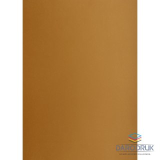 Creatinio Brystol brązowy B1 brązowy 225g 1k Creatinio (400150259)