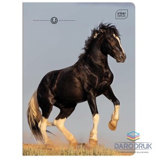 Interdruk Zeszyt A5 GIRLS 32k. 70g linia kolor Interdruk