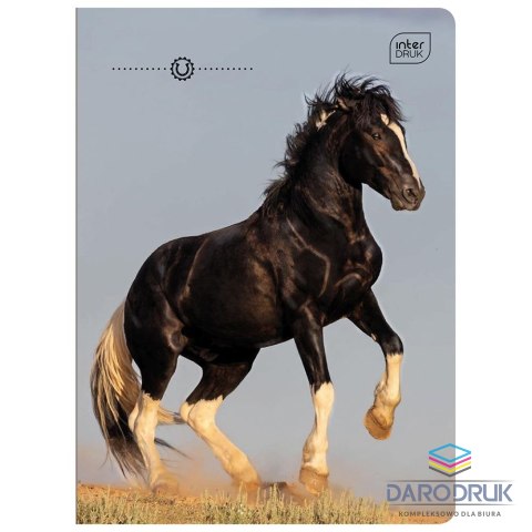 Interdruk Zeszyt A5 GIRLS 32k. 70g linia kolor Interdruk
