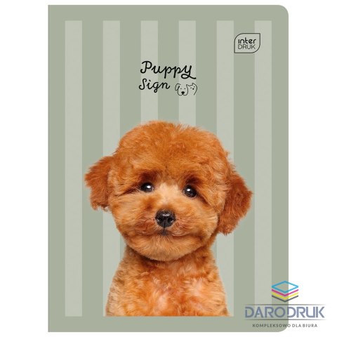 Interdruk Zeszyt A5 GIRLS 32k. 70g linia kolor Interdruk