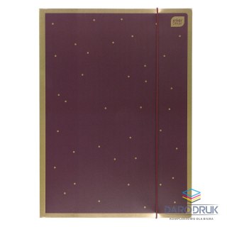 Interdruk Teczka kartonowa na gumkę SATIN GOLD 3 A4 mix Interdruk