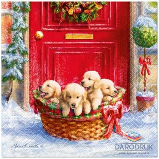 Paw Serwetki Lunch mix bibuła [mm:] 330x330 Paw (SDL236100)