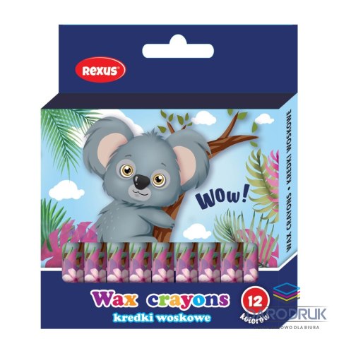 Rexus Kredki świecowe 12 kol. Rexus (603543)