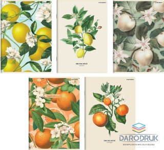 Top 2000 Zeszyt A5 SUMMER HARVEST CLUB 60k. 70g linia Top 2000 (400182443)