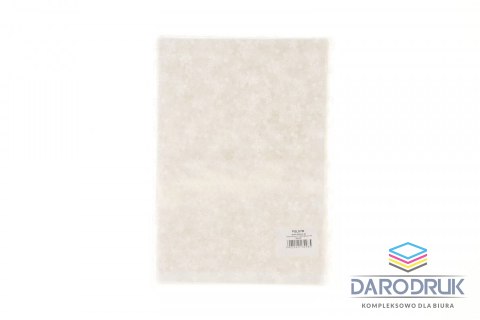 Torba prezentowa torebka BN folia [mm:] 170x250 (S4)