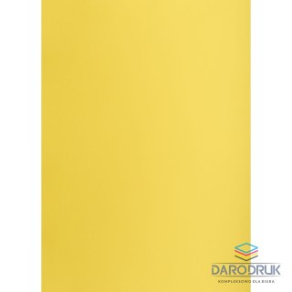 Creatinio Brystol żółty B1 żółty 225g 1k Creatinio (400150264)