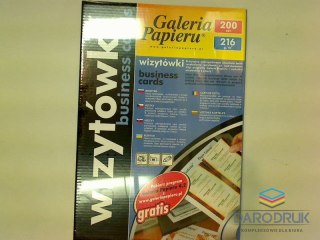 Galeria Papieru Papier ozdobny (wizytówkowy) A4 Akant Galeria Papieru