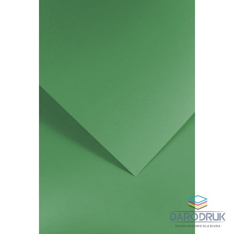 Galeria Papieru Papier ozdobny (wizytówkowy) A4 gładki zielony zielony 210g Galeria Papieru (205512)