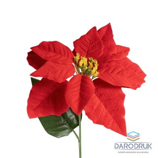 Arpex Kwiaty Poinsencja LUX Arpex (VB0230)