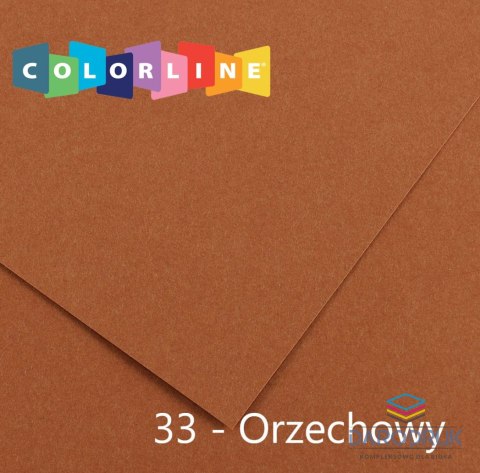 Canson Brystol Colorline 33 orzechowy 150g 10k [mm:] 500x650 Canson (200041409)