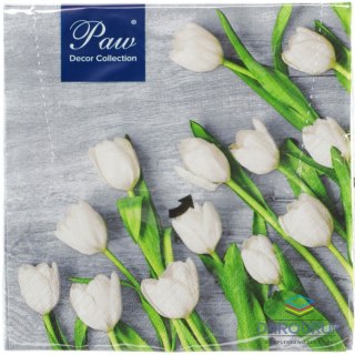 Paw Serwetki Lunch mix nadruk bibuła [mm:] 330x330 Paw (SDL120109)