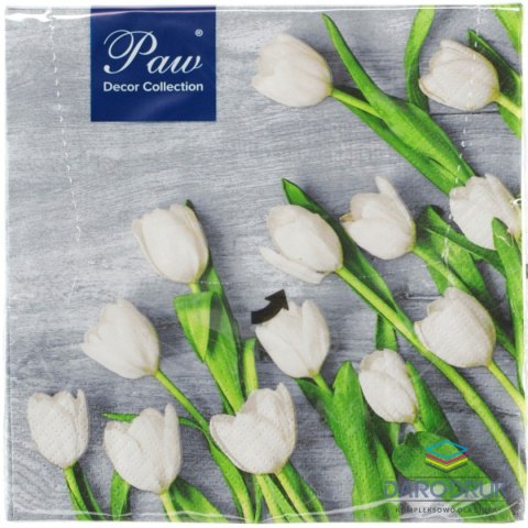 Paw Serwetki Lunch mix nadruk bibuła [mm:] 330x330 Paw (SDL120109)