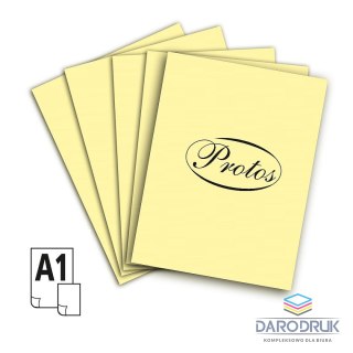 Protos Brystol A1 A1 żółty jasny 160-180g 20k [mm:] 610x860 Protos