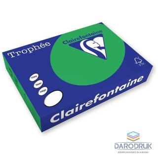 Trophee Papier kolorowy A4 1991 zielony 500k. 80g Trophee (xca41991)