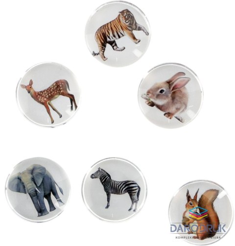 Fun&Joy Magnes ZWIERZĘTA okrągły mix śr. 30mm Fun&Joy 6 sztuk