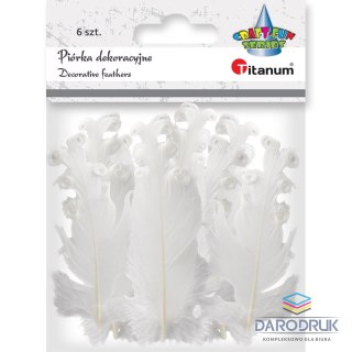 Titanum Piórka Craft-Fun Series biały 6 szt Titanum
