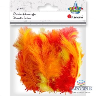 Titanum Piórka Craft-Fun Series mix 50 szt Titanum (210039)