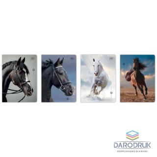 Interdruk Zeszyt A5 WILD HORSES 32k. 70g krata Interdruk