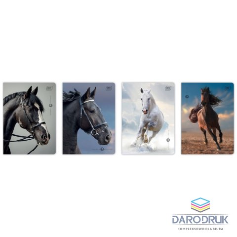 Interdruk Zeszyt A5 WILD HORSES 32k. 70g krata Interdruk