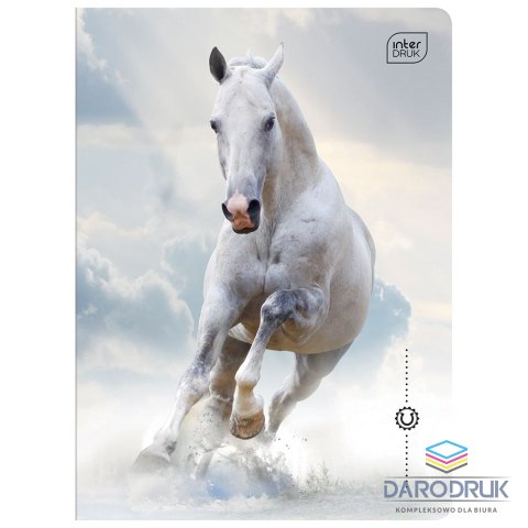 Interdruk Zeszyt A5 WILD HORSES 32k. 70g krata Interdruk