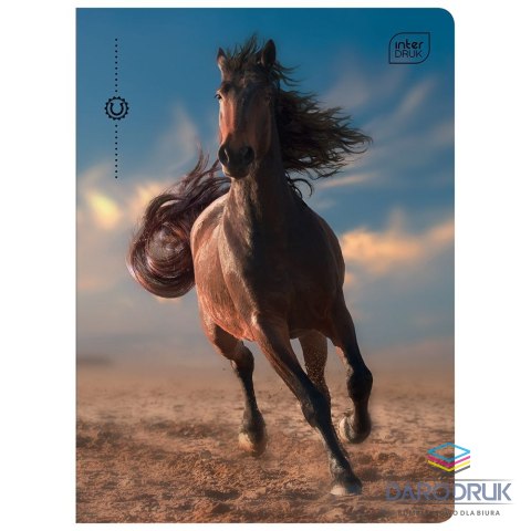 Interdruk Zeszyt A5 WILD HORSES 32k. 70g krata Interdruk