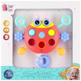 Bam Bam Zabawka edukacyjna biedronka sensoryczna Bam Bam (541611)