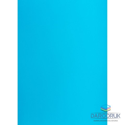 TOP-2000 Brystol jasny A1 niebieski 160g 25k [mm:] 610x860 TOP-2000 (400149565)