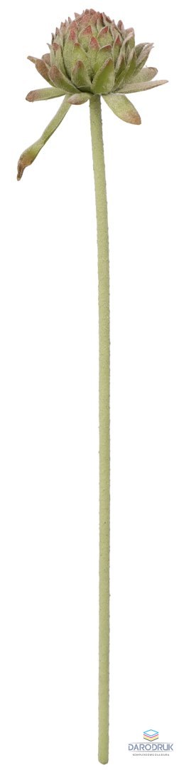 Home And Garden Kwiaty karczoch 60cm Home And Garden (8219)