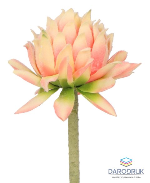 Home And Garden Kwiaty karczoch 60cm Home And Garden (8219)