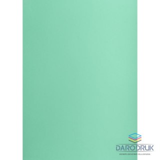 Creatinio Brystol turkusowy B1 turkusowy 225g 1k Creatinio (400150265)