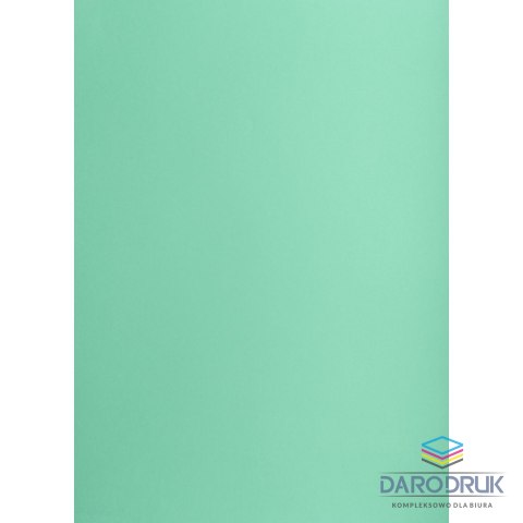 Creatinio Brystol turkusowy B1 turkusowy 225g 1k Creatinio (400150265)