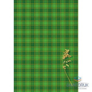 Kreska Brulion B5 160k. krata Kreska