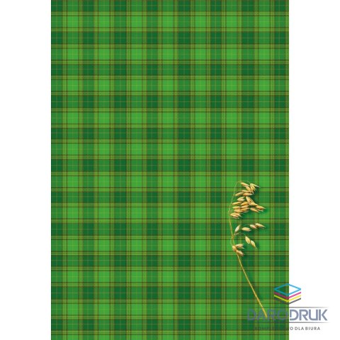 Kreska Brulion B5 160k. krata Kreska