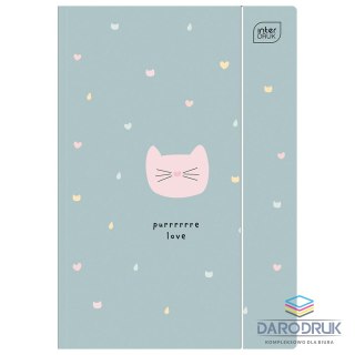 Interdruk Teczka kartonowa na gumkę TRENDS GIRLS HOLOGRAM A4 mix Interdruk