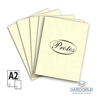 Protos Brystol A2 kremowy 20k [mm:] 430x610 Protos