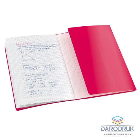 Oxford Zeszyt A5 EASYBOOK 60k. 90g krata Oxford (400146693)