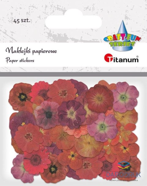 Titanum Naklejka (nalepka) Craft-Fun Series Naklejki papierowe Titanum (24XQ0501-13)