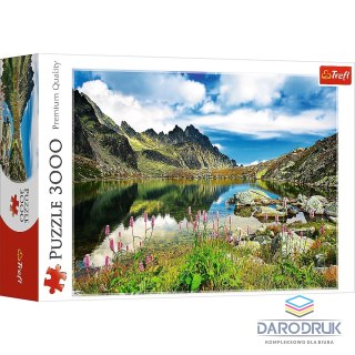 Trefl Puzzle STAROLEŚNIAŃSKI STAW 3000 el. Trefl (33031)