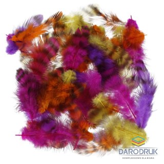 Craft With Fun Piórka mix Craft With Fun (545788)