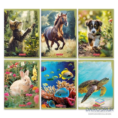 Herlitz Zeszyt A5 Animals 9501353 32k. linia Herlitz (400197990)