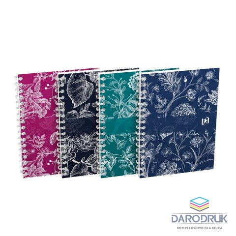 Oxford Notes (notatnik) A6 romance 50k. krata Oxford (400187853)
