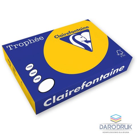 Trophee Papier kolorowy A4 złoty 500k. 80g Trophee (xca41780)