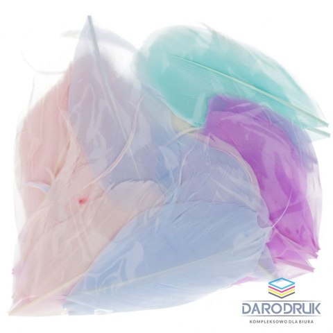 Craft with Fun Piórka Pastel mix 50 szt Craft with Fun (501477)
