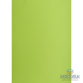 Creatinio Brystol zielony jasny B1 zielony jasny 225g 1k Creatinio (400150267)