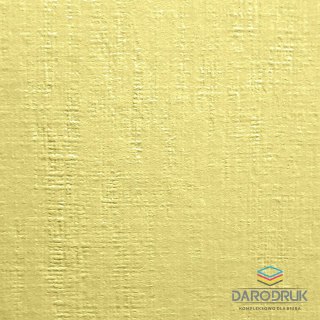 Protos Papier ozdobny (wizytówkowy) A4 kremowy 246g Protos