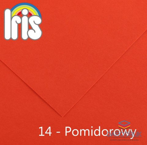 Canson Brystol Iris 14 B1 pomidorowy 240g 25k [mm:] 700x1000 Canson (200040453)