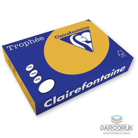 Trophee Papier kolorowy A4 kolorowy brązowy wielbłądzi 250k. 160g Trophee (xca41102)