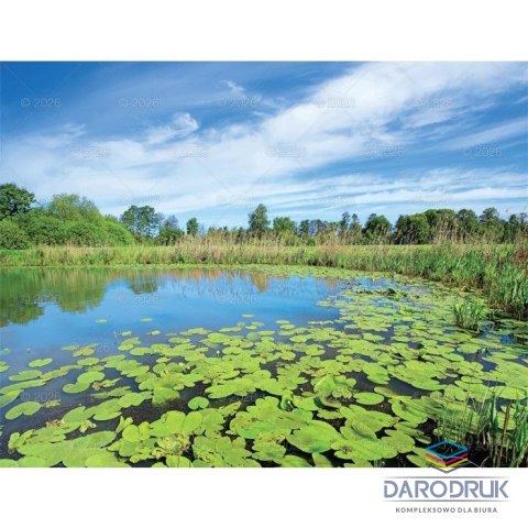 Lucrum Kalendarz ścienny PEJZAŻE POLSKIE 13-planszowe 320mm x 470mm Lucrum (RW01)