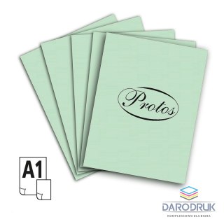 Protos Brystol A1 seledynowy 160-180g 20k [mm:] 610x860 Protos